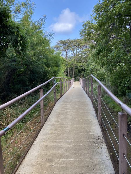 Footpath Construction in Modesto