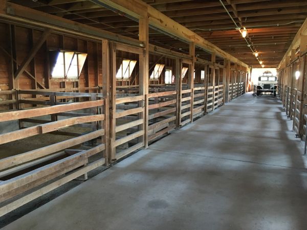 Barn Floor Pouring in Modesto