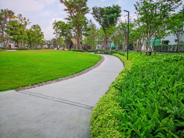 Cement Walkway Service in Modesto