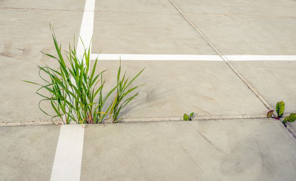 Concrete Parking Installation in Modesto