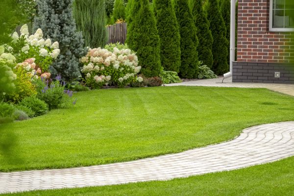 Landscape Walkway Installation in Modesto
